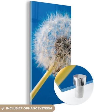 MuchoWow® Glasschilderij 20x40 cm - Schilderij acrylglas - Paardenbloem - Bloem - Terras - Foto op glas - Schilderijen
