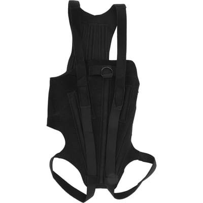 Hondenrugbrace Polyester Sterke Stijfheid Flexibel Rugondersteunend Vest voor Wandelen L