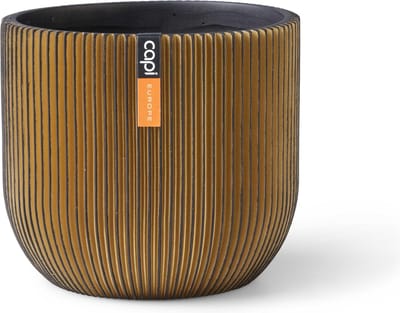 Capi Europe - Bloempot bol Groove Black & Gold - 14x13 - Goud - Opening Ø12 - Bloempot voor binnen - 5 jaar garantie - BGVGB132