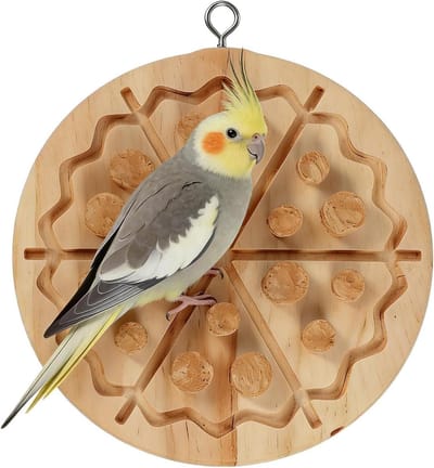 Vogel Kauwspeelgoed - Papegaai Speeltjes - Snavel Gezondheid - Natuurlijk Hout - 15 x 15 x 4 cm - Pizza