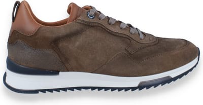 Berkelmans Heren Kyalami Brown Suede | Bruin | Maat: 44