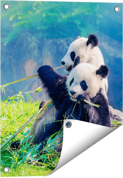Gards Tuinposter Twee Panda's Eten Bamboe Riet - 40x50 cm - Tuindoek - Tuindecoratie - Wanddecoratie buiten - Tuinschilderij