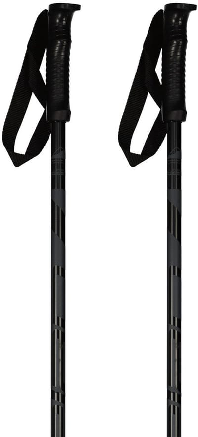 ELAN - skipole hotrod black - Skistokken heren - Zwart