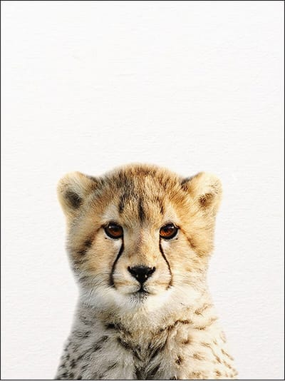 Ychee - Canvas Poster - Baby Kamer - Kinder Kamer - Dieren - Decoratie - Geen fotolijst/frame inbegrepen - 30x40cm - Tijgerwelp