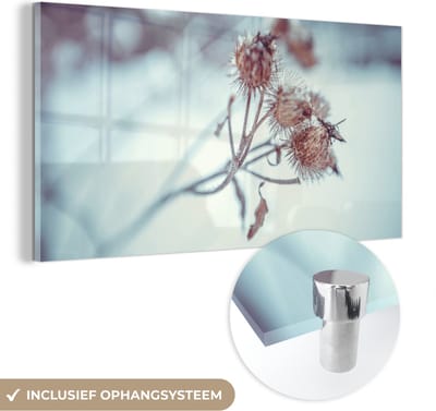 MuchoWow® Glasschilderij 40x20 cm - Schilderij acrylglas - Planten - Winter - Sneeuw - Natuur - Foto op glas - Schilderijen