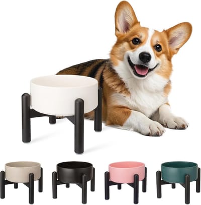 Verhoogde keramische hondenbak voor kleine tot middelgrote honden - 16 inch - 2 kopjes (850 ml) - wit