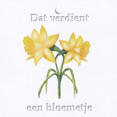 Bloemenkaartjes - 25 Stuks - Mini Kaartjes - 7 x 7 cm - Bloemist - Kadootjes - Dat verdient een bloemetje - JK-150