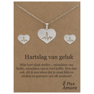 Stainless Steel Hartje met Levenslijn Ketting + Oorbellen Setje op Cadeau Kaartje - Hartslag van geluk - 45 cm ketting & ± 10x10mm Oorknopjes - Zilverkleurig Roestvrij Staal - Pax Amare