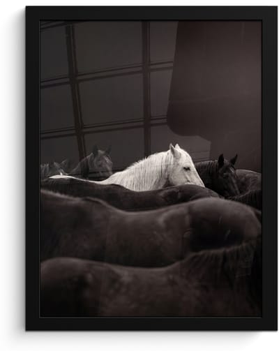 Poster in lijst - Fotolijst 30x40 cm - Posters - Paarden - Zwart - Wit - Kudde - Posterlijst zwart - Decoratie - Wanddecoratie woonkamer - Muurdecoratie slaapkamer