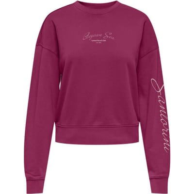 ONLY - ONLTABBA L/S ROUND NECK UB SWT Dames Trui