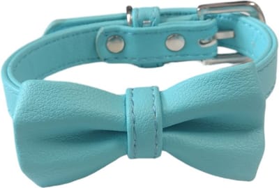 Nobleza Hondenhalsband - Maat S - Verstelbaar 25 / 31 cm - Halsband hond - Puppyhalsband - Halsband pup - Gespsluiting - Blauw