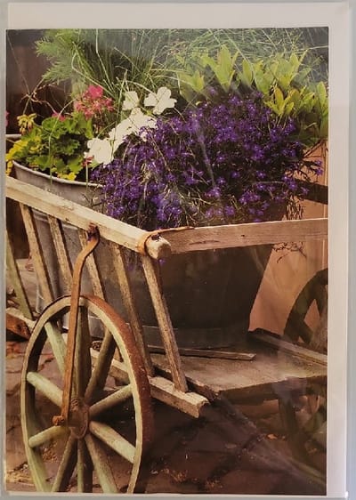 Een leuke blanco kaart met een kruiwagen waar bloemen en platen bij elkaar zijn gevoegd. Een geschikte wenskaart om te geven bij meerdere gelegenheden. Een dubbele wenskaart inclusief envelop en in folie verpakt.