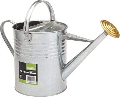 Gegalvaniseerde Gieter - Zilver - 9L - Tuinieren - Water geven