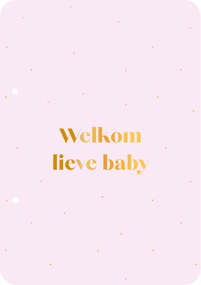 Bewaarbundel Welkom lieve baby - lila - geboortekaarten bewaarbundel - met goudfolie - A5 formaat