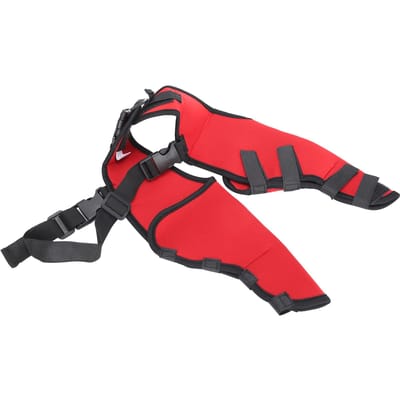 Genouillère de protection pour pattes de chien, accessoire pour animaux de compagnie, pour récupération chirurgicale après une blessure articulaire, rouge, taille L L rouge