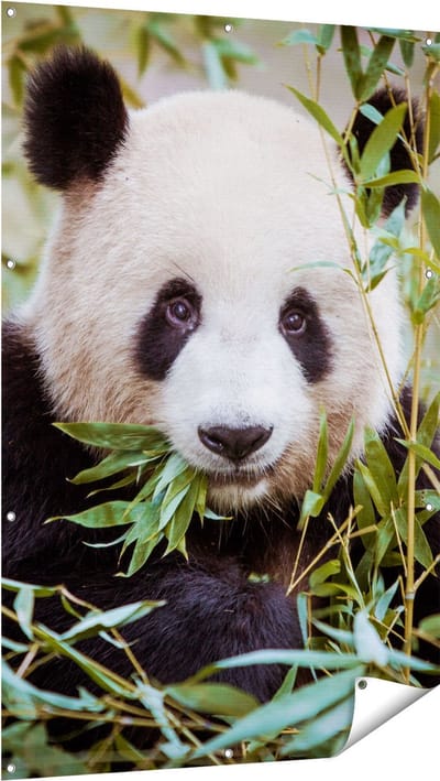 Gards Tuinposter Panda Eet Planten - 100x150 cm - Tuindoek - Tuindecoratie - Wanddecoratie buiten - Tuinschilderij