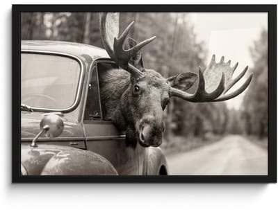 Poster in lijst - Fotolijst 60x40 cm - Posters - Eland - Auto - Gewei - Zwart - Wit - Posterlijst zwart - Decoratie - Wanddecoratie woonkamer - Muurdecoratie slaapkamer