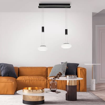 Q-Smart-Home Paul Neuhaus Q-ETIENNE LED hanglamp 2-lamps, zwart