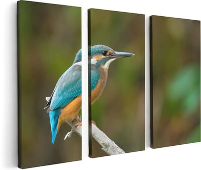 Artaza Canvas Schilderij Drieluik Blauwe IJsvogel Op Een Tak - 120x80 - Foto Op Canvas - Canvas Print