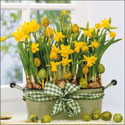 Ambiente Paas thema servetten - 20x - Narcissen print - 33 x 33 cm - Pasen - feestservetten - Paasontbijt tafeldecoratie