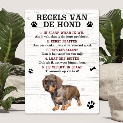 Spreuken - Ruwharige tekkel - Regels Van De Hond - Spreuken Bordjes - Spreukenbord - Tekstborden - Cadeau - Hondenras