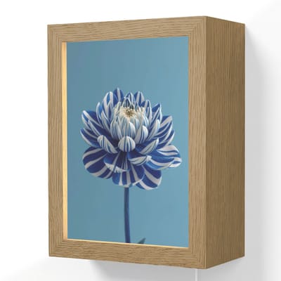 Wandlamp 15x20 cm - Oplaadbaar - Bloem - Blauw - Bloemblaadjes - Streepjes - Wandlampen binnen woonkamer - Slaapkamer lamp met kabel - Decoratieve nachtlamp - Vloerlamp snoer