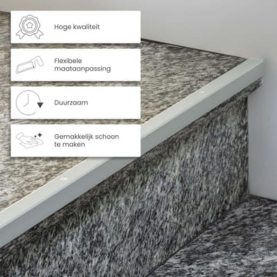 Professioneel Trapneus Profiel Aluminium 100cm Hoekprofiel voor Traptreden