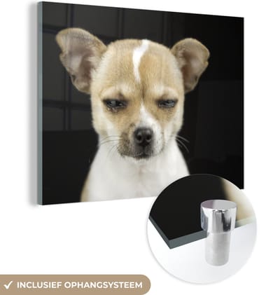 MuchoWow® Glasschilderij 160x120 cm - Schilderij acrylglas - Hond - Huisdieren - Portret - Foto op glas - Schilderijen