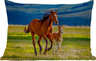 Buitenkussens - Paarden - Gras - Dieren - Landschap - Natuur - 60x40 cm - Weerbestendig