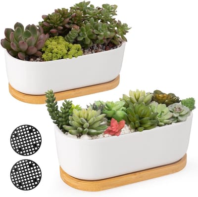 Set van 2 Kleine Keramische Succulent Potten voor Binnen en Buiten, Cactus- en Bonsai Potten met Afvoergat en Bamboe Schaal, Ideaal voor Plantenliefhebbers