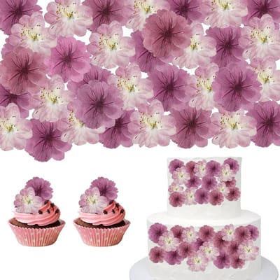 Dailygoods- Tårtdekoration 48 St. Natuurlijke Bloemen - Cupcake-Toppers - Cocktaildecoratie - Gedroogde Bloemen - Handgeplukt - Pure Schoonheid - Bloemdecoratie