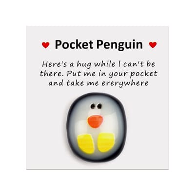Dailygoody - Pocket Pinguïn knuffelaandenken - Schattig pinguïnspeelgoed - Bemoedigend cadeau voor vrienden - Klein en lief - Perfect voor elke gelege