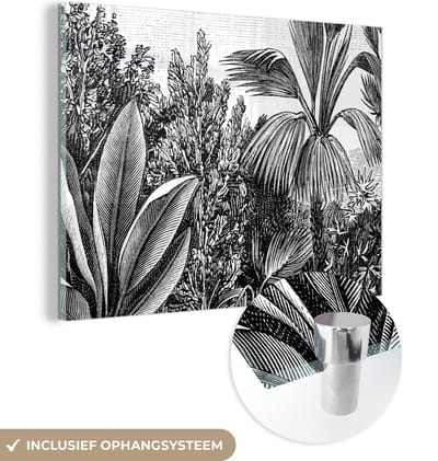 MuchoWow® Glasschilderij 160x120 cm - Schilderij acrylglas - Planten - Natuur - Design - Illustratie - Ernst Haeckel - Foto op glas - Schilderijen
