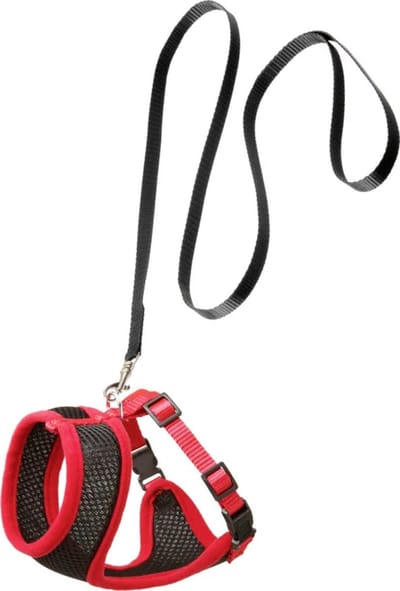 Flamingo kattentuigje Harms set - zwart/rood - 120cm x 15mm