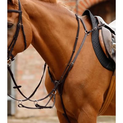 Jachthalsband voor paarden Premier Equine Norbello