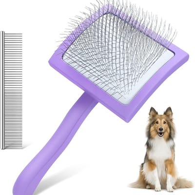 Slicker Borstel voor Honden – Lange Pin Vachtborstel voor Goldendoodle, Poedel & Doodle – Ontklitten, Ontwarren & Verharen – Inclusief Metalen Kam – Groot, Paars - ANMI