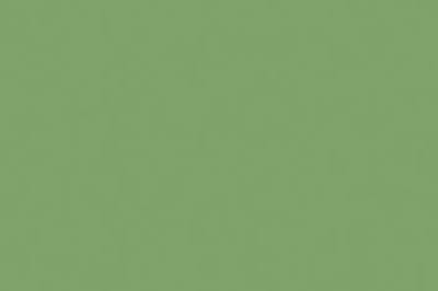 Tekenpapier Folia A4 licht- - groen 130grs pak 100 vel