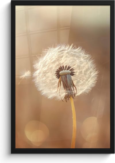 Poster in lijst - Fotolijst 40x60 cm - Posters - Paardenbloem - Beige - Natuur - Bloem - Posterlijst zwart - Decoratie - Wanddecoratie woonkamer - Muurdecoratie slaapkamer