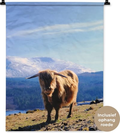 Wandkleed Schotse hooglander - Schotse hooglander met een bergachtig uitzicht Wandkleed katoen 60x80 cm - Wandtapijt met foto