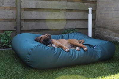 Dog's Companion Hondenkussen / Hondenbed - S - 70 x 50 cm - Groen Water- en Vuilafstotende Coating - Waterafstotend
