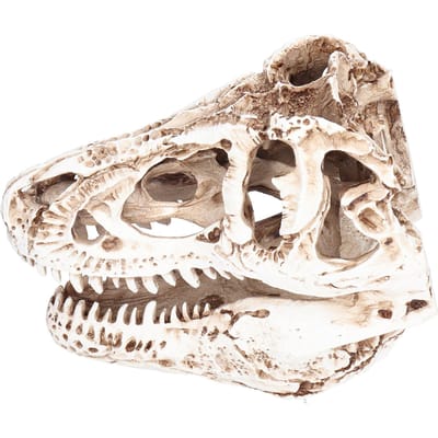 Ornement Crâne de Dinosaure en Résine Fournitures Décoratives pour les Vacances de Noël Bars Boîte de Nuit beige