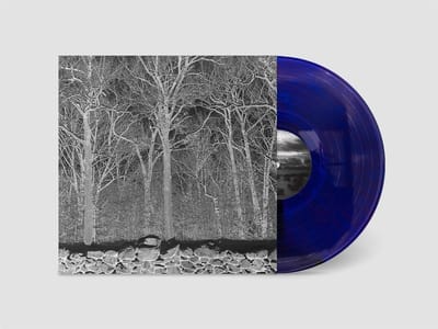 Pile - Sunshine And Balance Beams (LP) (Coloured Vinyl)