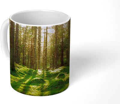 Mok - Koffiemok - Bomen - Bos - Mos - Planten - Zon - Natuur - Mokken - 350 ML - Beker - Koffiemokken - Theemok