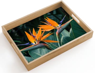 Dienblad hout 40x30 cm - Schootdienblad - Paradijsvogel - Bloem - Exotisch - Borrelplank rechthoek - Plateau dienbladen