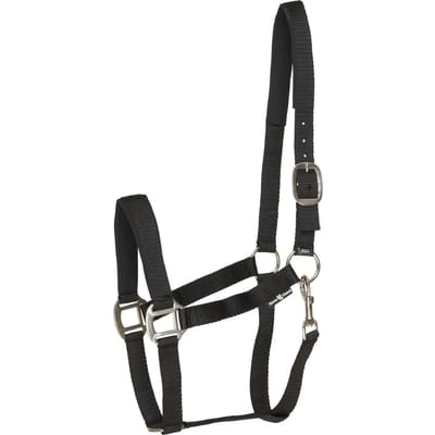 Halster voor Shetland HorseGuard Nylon