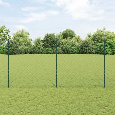 vidaXL - gaashek - met - palen - 10 - x - 1,6 - m - PVC-Coated - Staal - Groen - Mesh