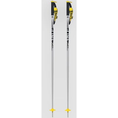 Line Pin 2027 Ski Stokken patroon