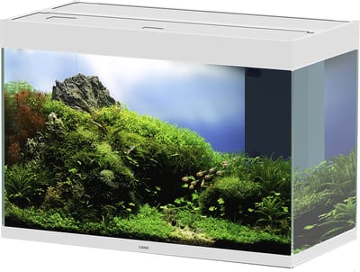 Ciano Aquarium set Emotions Pro 80 LED - Wit - 81,2 x 40,2 x 56cm