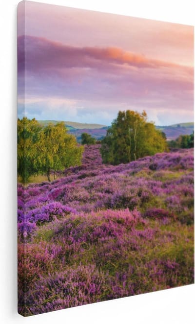 Artaza Canvas Schilderij Heide - 30x40 cm - Klein - Wanddecoratie Landschap - Muurdecoratie Bos - Kamer Accessoires Natuur