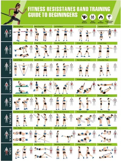 Oefening Workout Poster - Fitness Gids - Spieropbouw Training - Correcte Form Illustraties - 43 x 10 cm - Meerdere Kleuren
